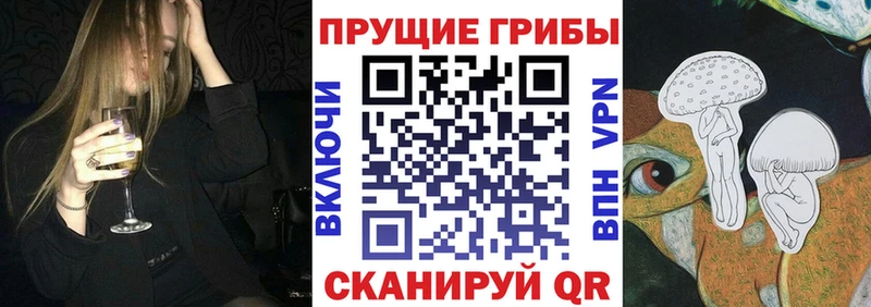 сайты даркнета какой сайт  omg как зайти  Галлюциногенные грибы ЛСД  Приволжский  где купить  